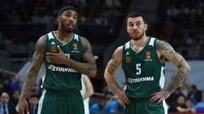 Panathinaikos ma dość Euroligi. Wielki klub chce się wycofać z rozgrywek!