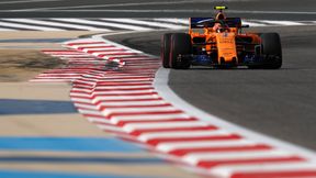 Alessandro Bravi: Vandoorne będzie w F1