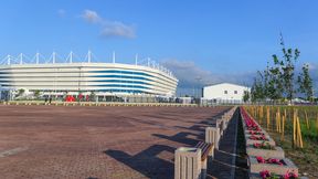 Mundial 2018. Kurczaki z zakazem stadionowym. Prośba kibiców z Nigerii nie została spełniona