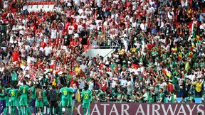 Mundial 2018. Awantura w Antwerpii. Pobili się kibice z Polski i Senegalu