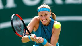 WTA Eastbourne: Kvitova rywalką Radwańskiej. Wygrane Kerber i Ostapenko