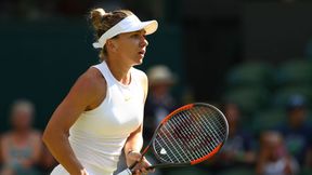 Tenis. Wimbledon 2019: Halep kontra Azarenka w piątek. Hurkacz zagra z Djokoviciem, w akcji Kubot i Rosolska