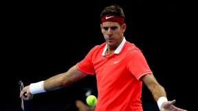 ATP Delray Beach: Juan Martin del Potro wraca do gry. Wystąpią także John Isner i Nick Kyrgios