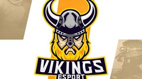 Vikings Esports kolejną organizacją wkraczającą na polską scenę Hearthstone