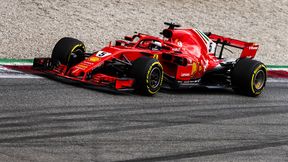 GP Brazylii: Sebastian Vettel dopiekł Mercedesowi przed kwalifikacjami