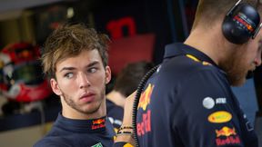 Gasly chwali Verstappena. Jest idealnym punktem odniesienia