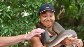 Naomi Osaka poznaje australijską faunę. "Zawsze oglądałam takie rzeczy w telewizji"