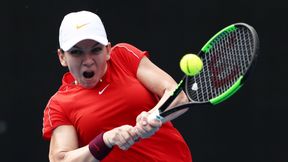 Australian Open: trudne przeprawy Simony Halep i Venus Williams. Szybki awans Eliny Switoliny