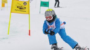 Reksio trenuje w Tatrach