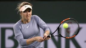 Tenis. WTA Hua Hin: Elina Switolina i Qiang Wang za burtą. Patricia Maria Tig rywalką Magdy Linette w półfinale