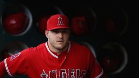 Kosmiczny kontrakt w USA. Baseballista Mike Trout zarobi 430 mln dolarów