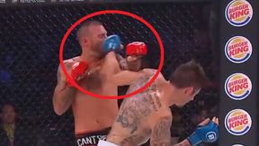 MMA. Joe Schilling padł jak rażony piorunem. Co za nokaut Tony'ego Johnsona (wideo)