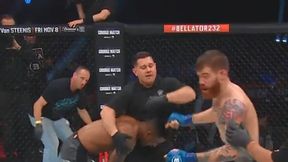 Bellator 232. Kuriozum na gali MMA. Zamroczony zawodnik zaatakował sędziego. Sprawdź wyniki