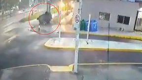 Boks. Leonardo Javier Gonzalez zginął w wypadku samochodowym