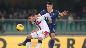 Serie A: Hellas Werona lepszy od Genoi CFC. Paweł Dawidowicz zmiennikiem. Mariusz Stępiński i Filip Jagiełło pominięci