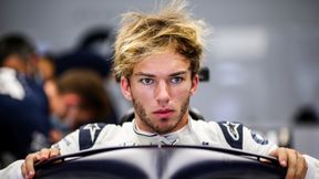 F1. Pierre Gasly nie wróci do Red Bulla. "Występy Albona są bardzo dobre"