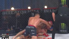 MMA. Bellator 244. Wyniki gali. Nemkow sensacyjnie znokautował Badera (wideo)