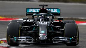 F1. Wycinka drzew czy miejsca pracy? Brazylijczycy odpowiadają Lewisowi Hamiltonowi