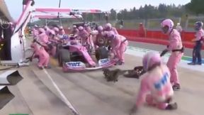 F1. Lance Stroll potrącił mechanika podczas pit-stopu. Niecodzienna sytuacja w alei serwisowej [WIDEO]