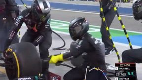 F1. Co oni zrobili? Fatalny pit-stop Mercedesa [WIDEO]