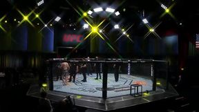 Kolejny Polak zawalczy w oktagonie UFC. Niepokonany fighter wzmocni wagę ciężką