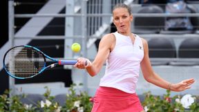 Karolina Pliskova zatrzymała Chorwatkę. Już tylko Iga Świątek może Czeszce przeszkodzić