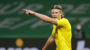 Co z transferem Haalanda? Szef Borussii Dortmund zabrał głos