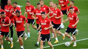 Euro 2020. Trener Szwedów obawia się Polski. Ale ma plan na Biało-Czerwonych