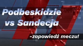 Podbeskidzie vs Sandecja – zapowiedź meczu