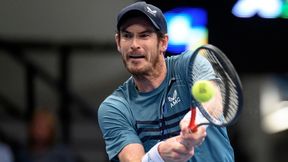 Andy Murray trafił na lepszego od siebie w Wiedniu. Matteo Berrettini nie spoczął na laurach