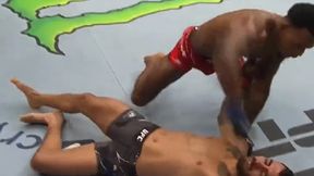 UFC 267. Brutalny nokaut! Fin stracił przytomność [WIDEO]