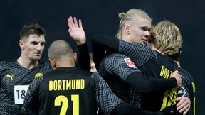 Nowy kierunek Haalanda? Robi się ciekawie