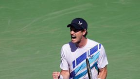 Andy Murray w elitarnym gronie. Porażki weteranów kortów