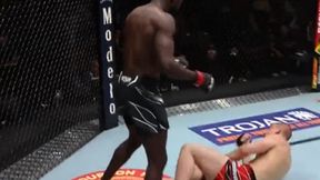 Spektakularny nokaut na gali UFC. Piekielny łokieć [WIDEO]