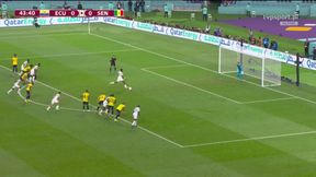 Senegal bliżej awansu do 1/8 mundialu! Wykorzystany rzut karny [WIDEO]