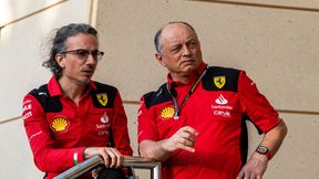 Transfery z Red Bulla do Ferrari. Włosi wzmacniają zespół