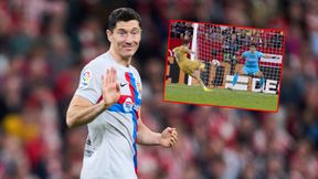 Tak strzela Robert Lewandowski. Zobacz jego bramki w Hiszpanii [WIDEO]