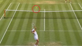 Piłka na aucie, set dla Polki. Tak Iga Świątek kroczyła do czwartej rundy Wimbledonu [WIDEO]