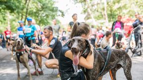 Zabierz PIESia do Międzylesia!