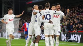 Premier League. Akcja marzenie. Tottenham nadal liderem