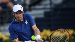 Andy Murray pokazał serce do walki. Jubileuszowe zwycięstwo Brytyjczyka