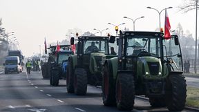 Media: przez protest rolników walkower w Pucharze Polski