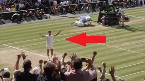 Zobacz i usłysz to z innego punktu widzenia. Tak reagował Wimbledon po wygranej Carlosa Alcaraza [WIDEO]