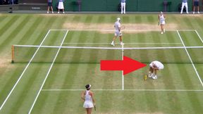 Aż runął na kort. Tak Jan Zieliński przyjął wygraną w Wimbledonie [WIDEO]