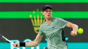 Gwiazdorska obsada w Wiedniu. Jannik Sinner najwyżej rozstawiony
