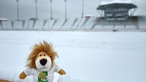 Kibice nie dowierzają. Oto, co zrobił Włókniarz Częstochowa