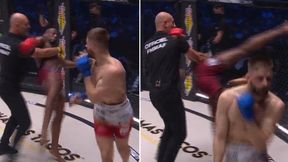Kuriozalne sceny na KSW. Sędzia wkroczył do akcji