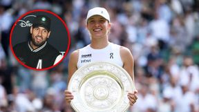 Otwarcie skrytykował Świątek. "Nie wygląda to dobrze"