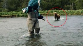 Kręcili reklamę. Nagle ruszył na nich niedźwiedź