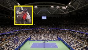 Obawiają się tego na US Open. "Nadepnij na to"